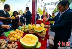 邵阳最新吃瓜爆料事件,神秘事件背后真相揭晓！
