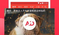 吃瓜爆料正能量视频下载,揭秘吃瓜视频背后的温馨故事