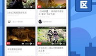 5x社区视频,揭秘视频中的精彩瞬间与深度解读